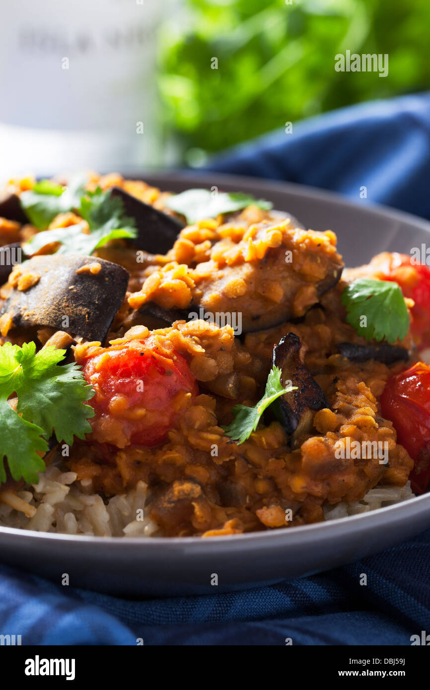 Curry Lentils with tomatoes and aubergine, topped with coriander Stock