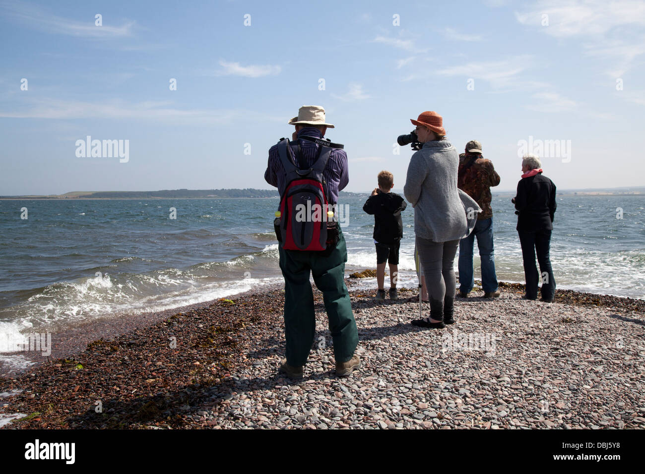 Dolphin watchers looking out to sea at Chanonry Point beach, Tourists watching the Moray Firth Bottlenose Dolphins, Cromarty, Black Isle, Scotland, UK Stock Photo