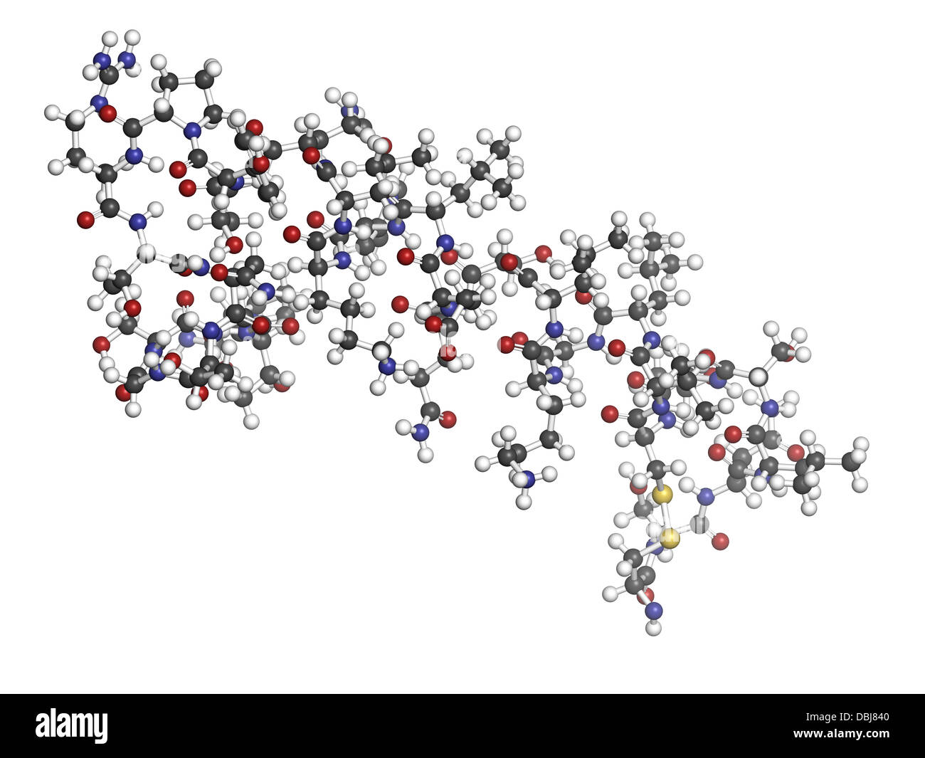 Salmon calcitonin peptide hormone drug, chemical structure. Used in