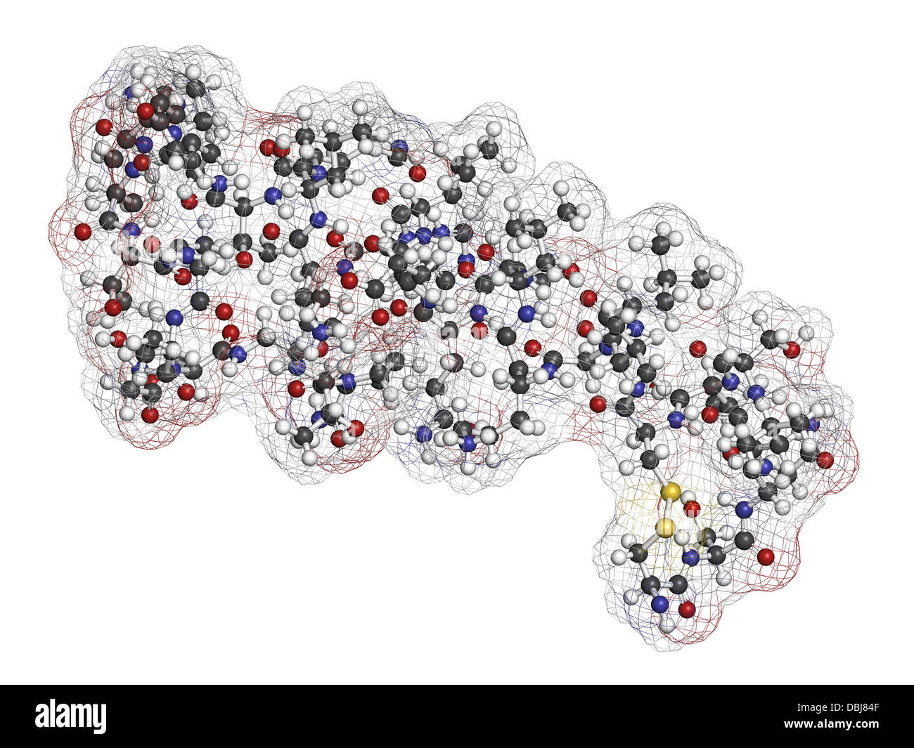 Salmon calcitonin peptide hormone drug, chemical structure. Used in