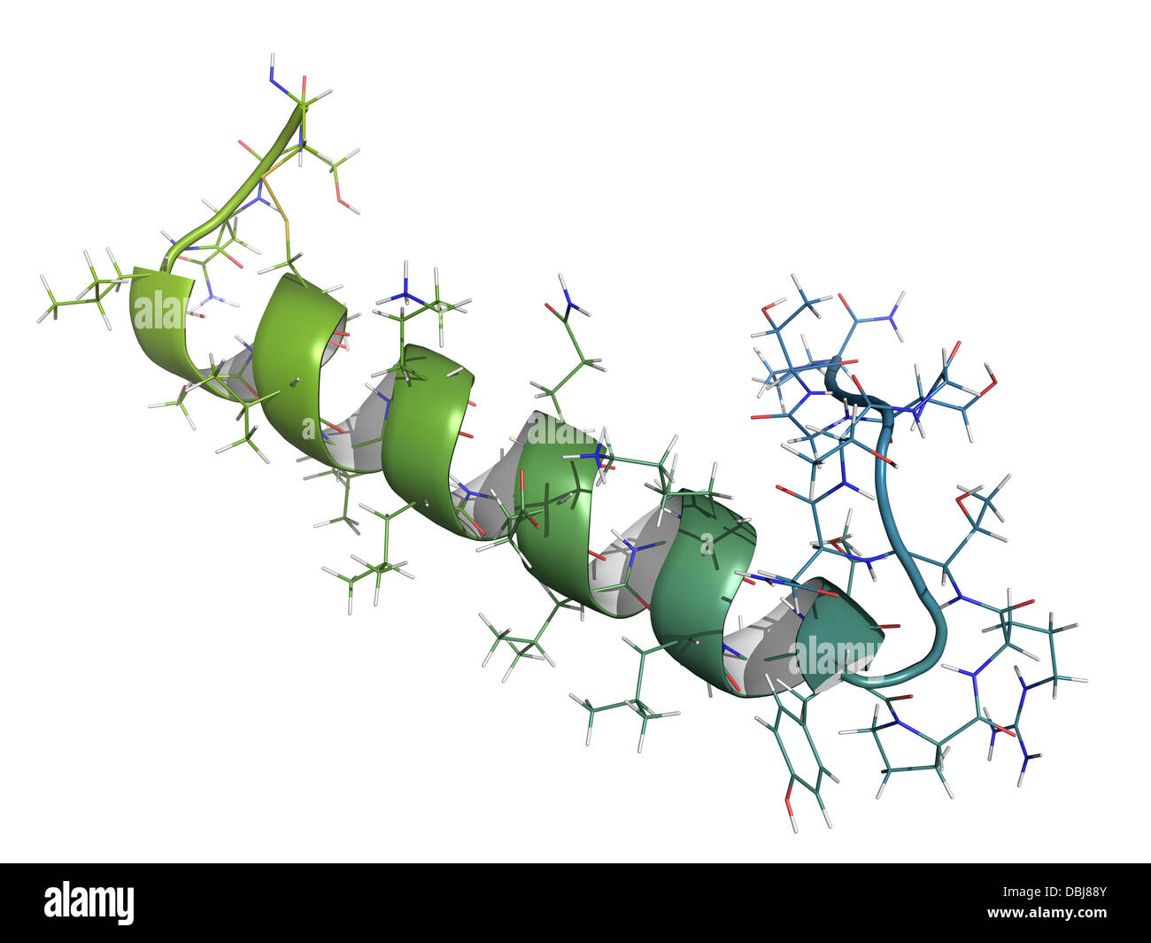 Salmon calcitonin peptide hormone drug, chemical structure. Used in