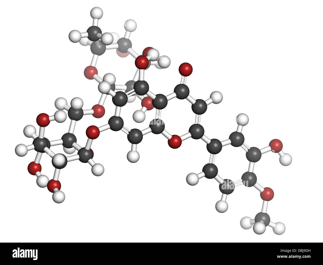 Diosmin Cut Out Stock Images & Pictures Alamy
