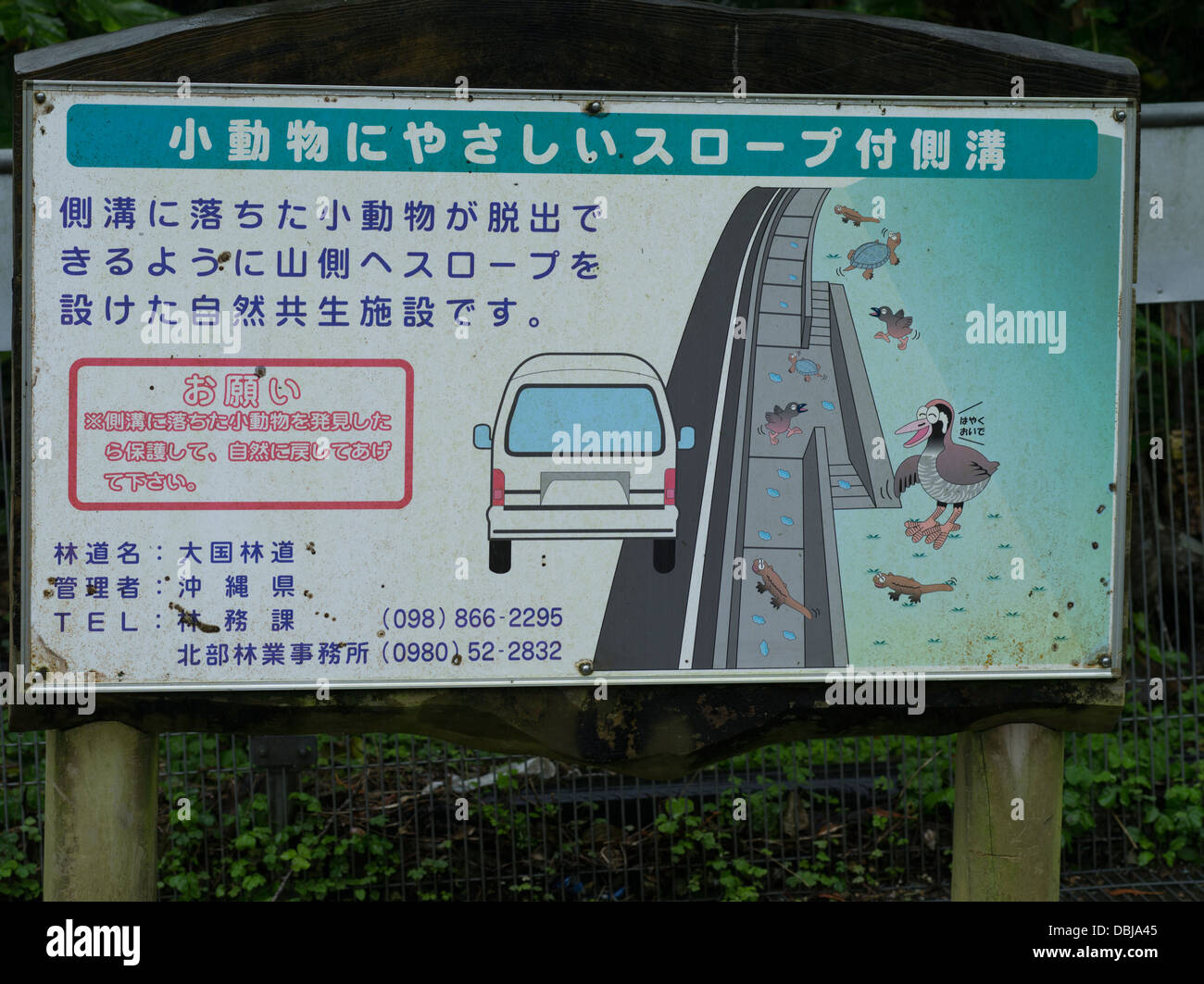 Sign in northern Okinawa warning drivers about slopes designed to help wildlife escape from drainage ditches. Stock Photo