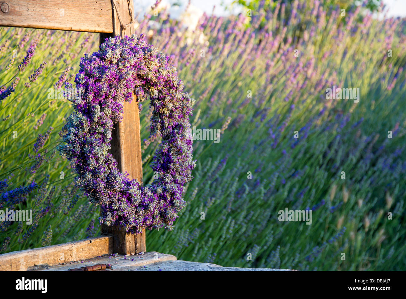 Lavender flower wreath on a wooden old bench in a summer garden Stock Photo