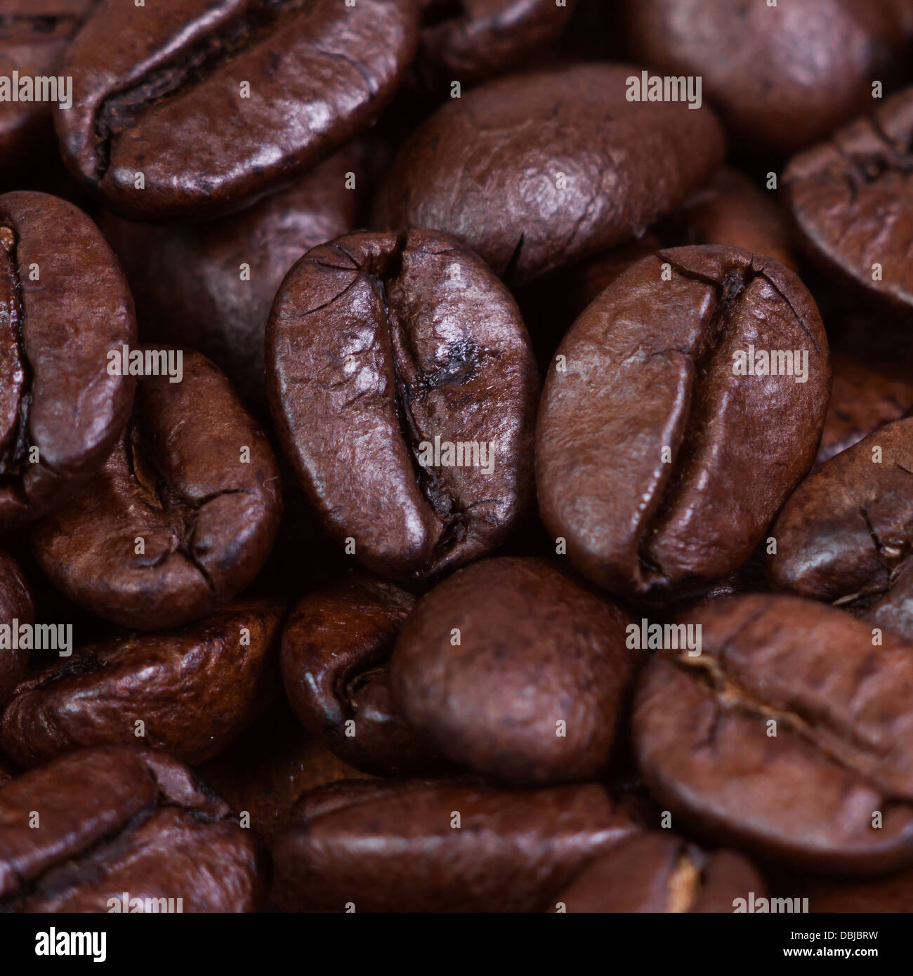Coffee bean macro extream close-up shot Stock Photo