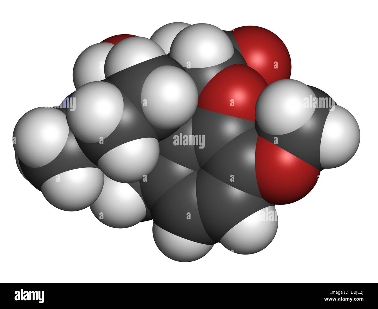 Oxycodone pain relief drug, chemical structure. Atoms are represented