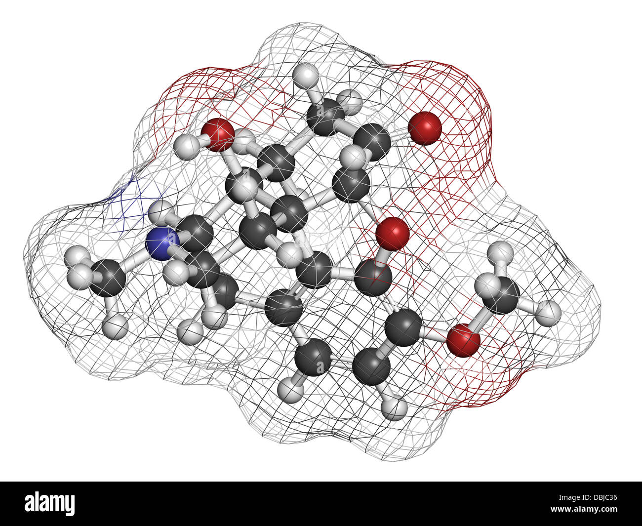 Oxycodone pain relief drug, chemical structure. Atoms are represented