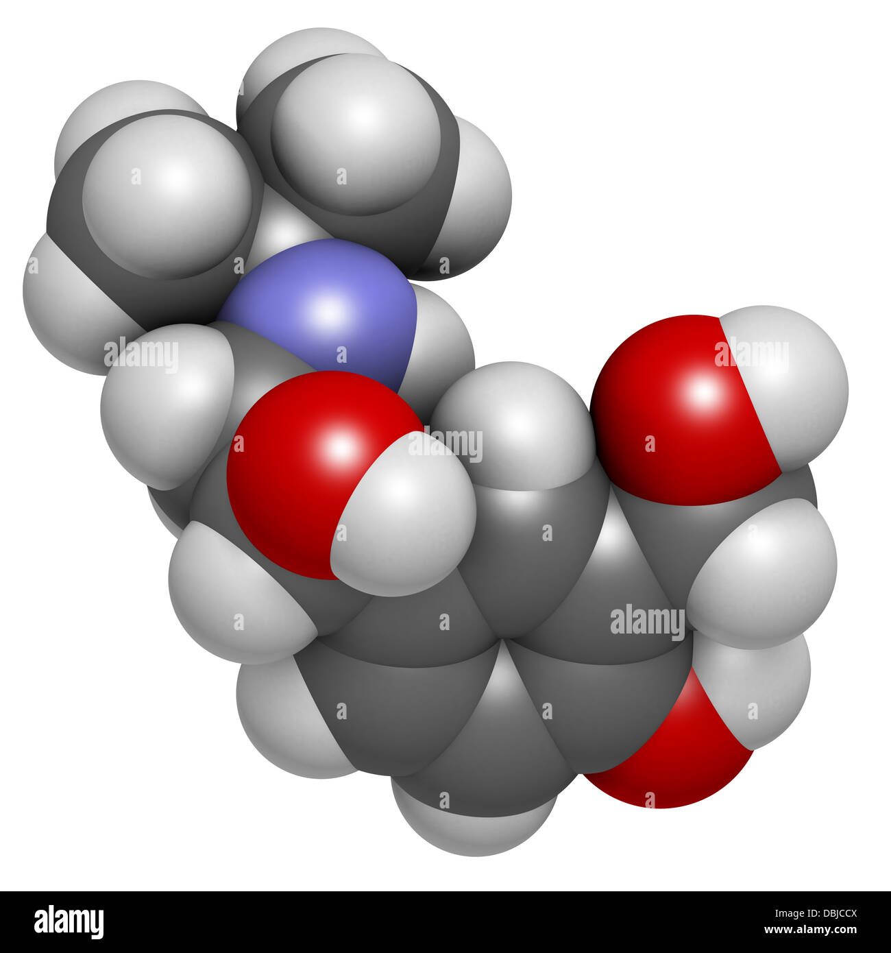 Bronchodilator generic drug albuterol Bronchodilator Generic Drug Albuterol