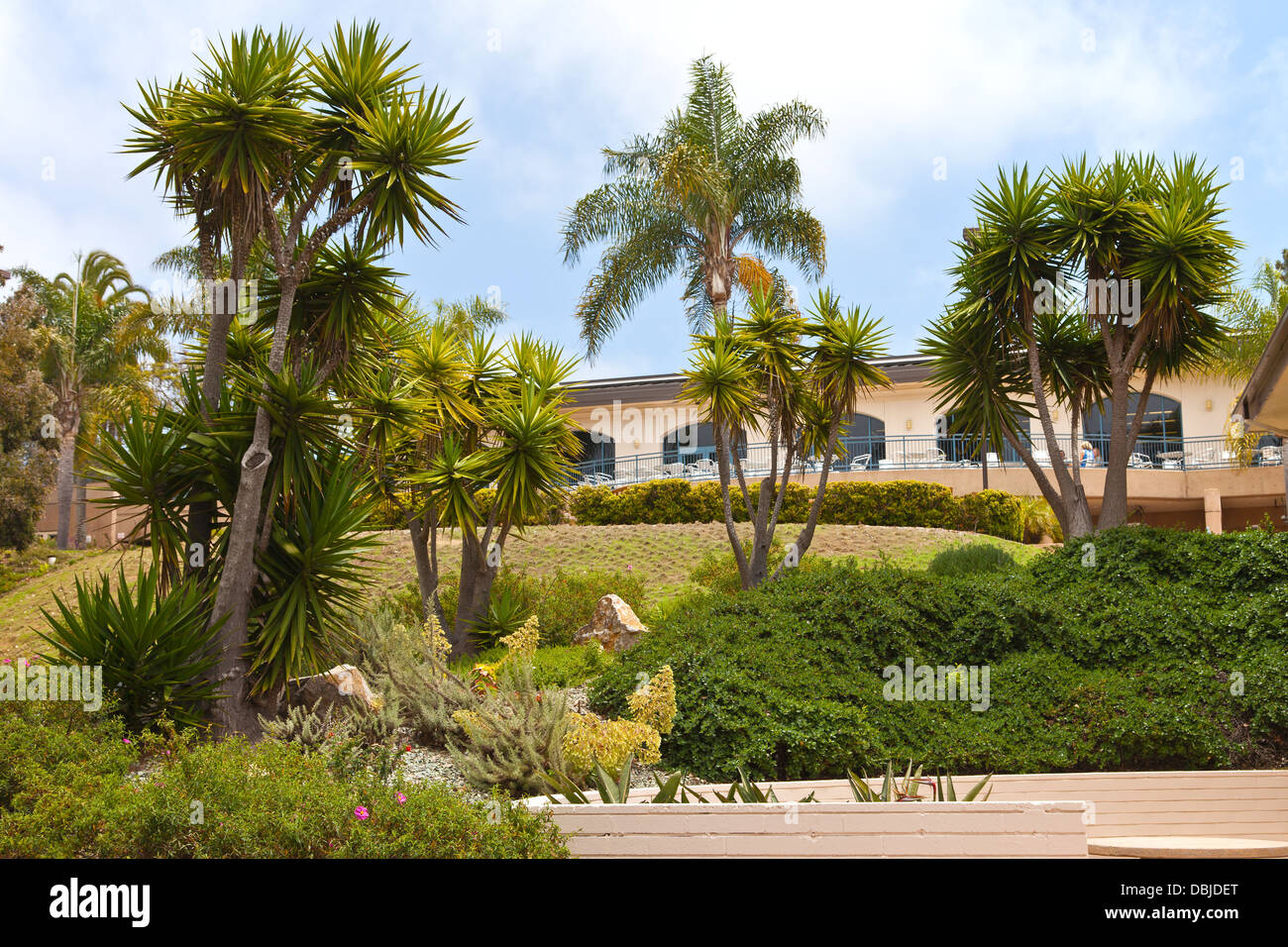 Tropical garden palm trees hi-res stock photography and images - Alamy