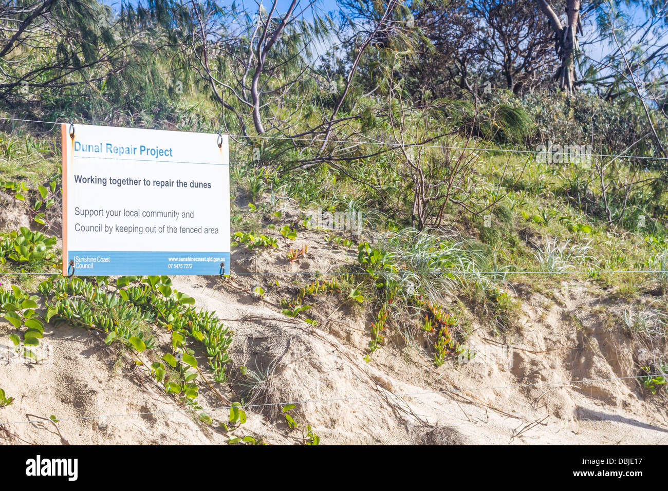 Dunal repair sign on Sunshine Coast Queensland Australia Stock Photo