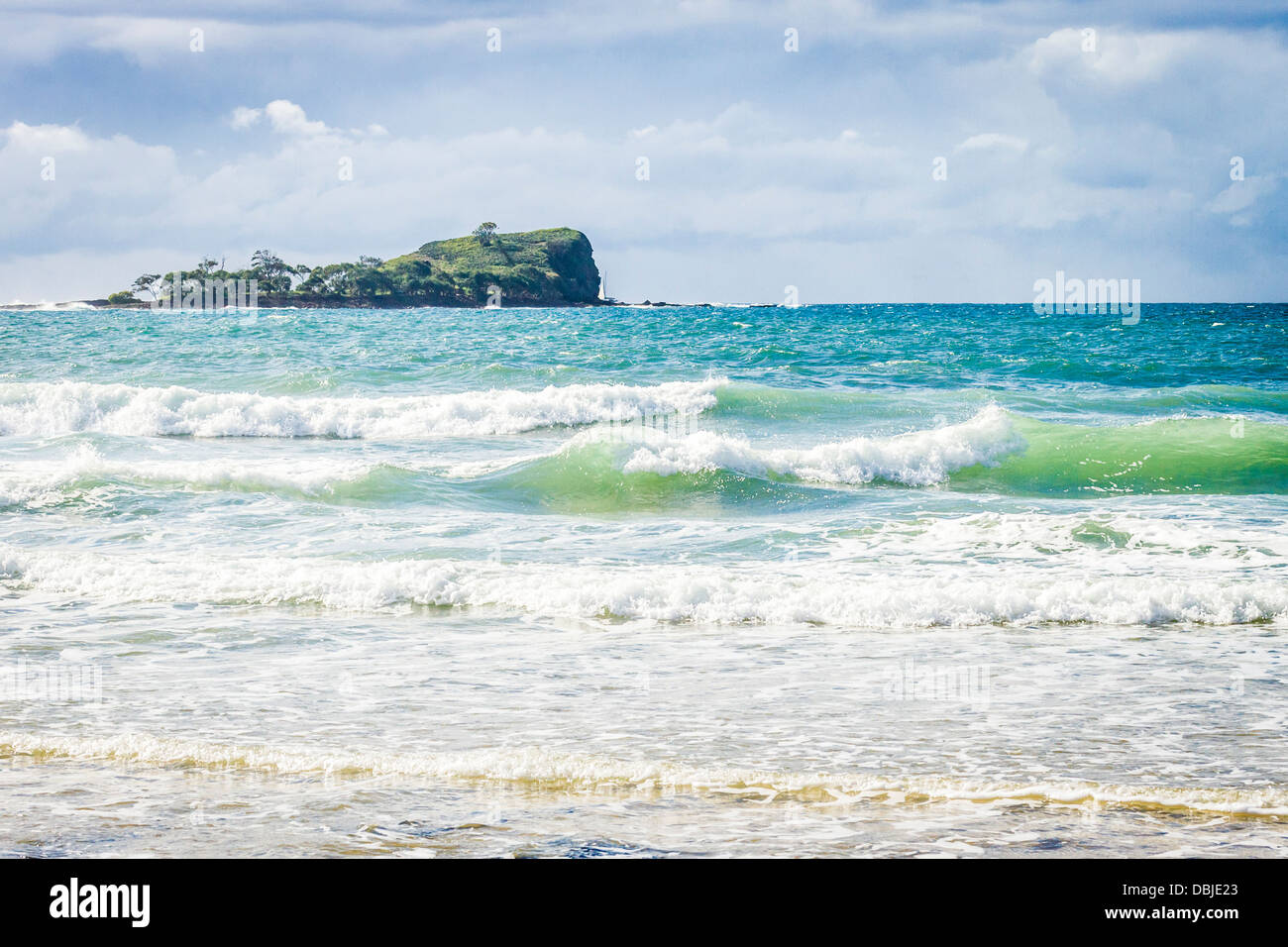 Pincushion island maroochy river queensland hires stock photography