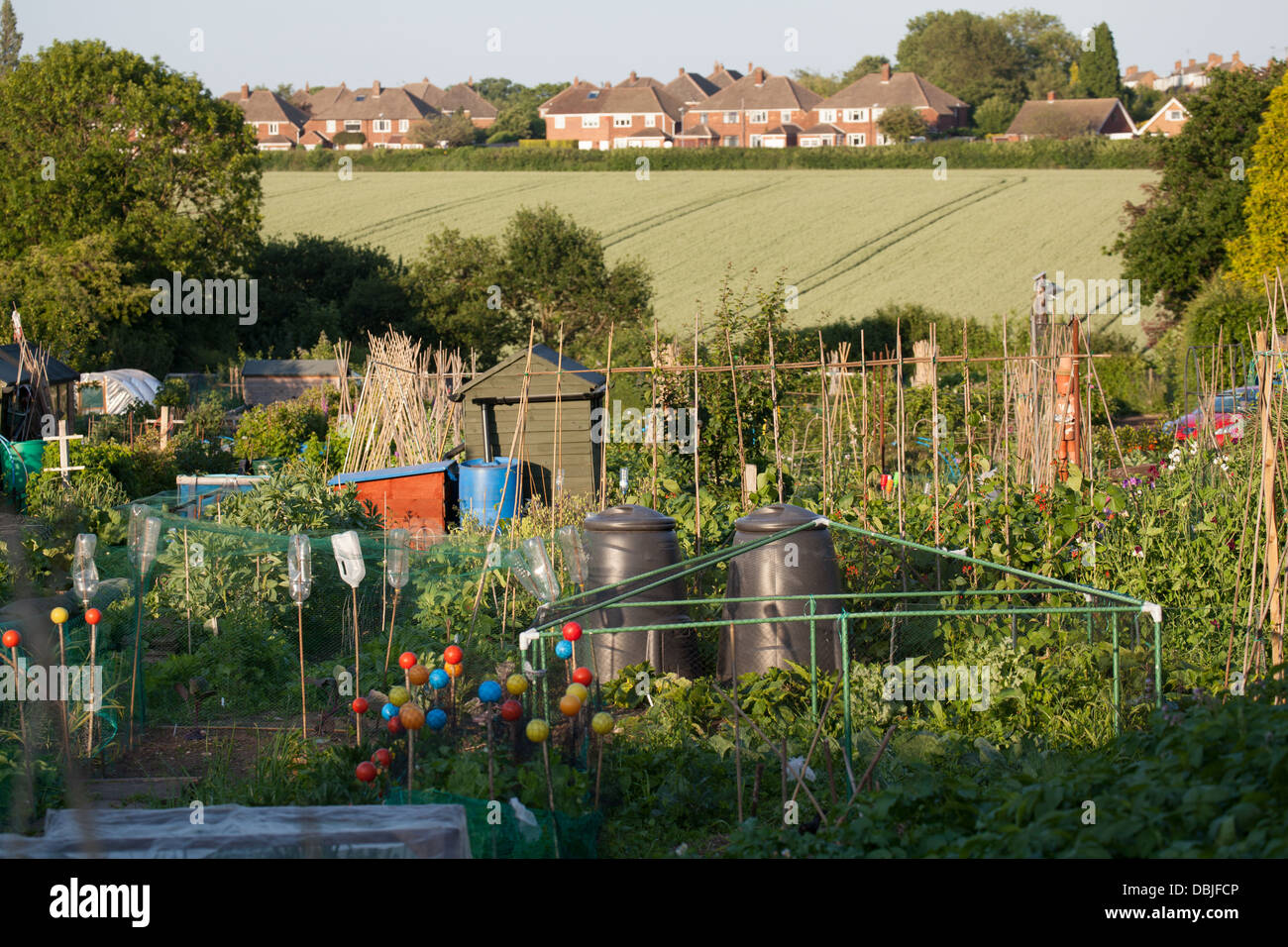 Urban town allotment plots and sheds Stock Photo