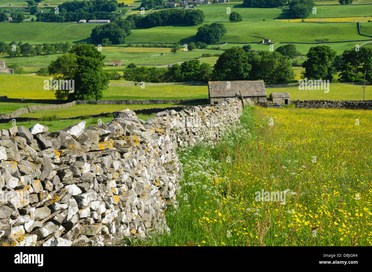 View of Wensleydale during summer Stock Photo