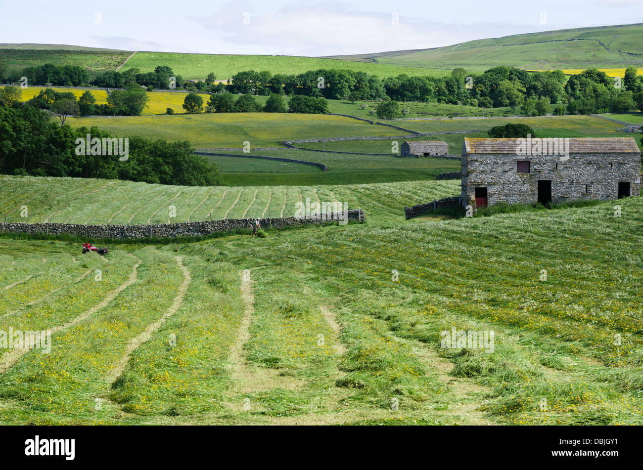 View of Wensleydale during summer Stock Photo