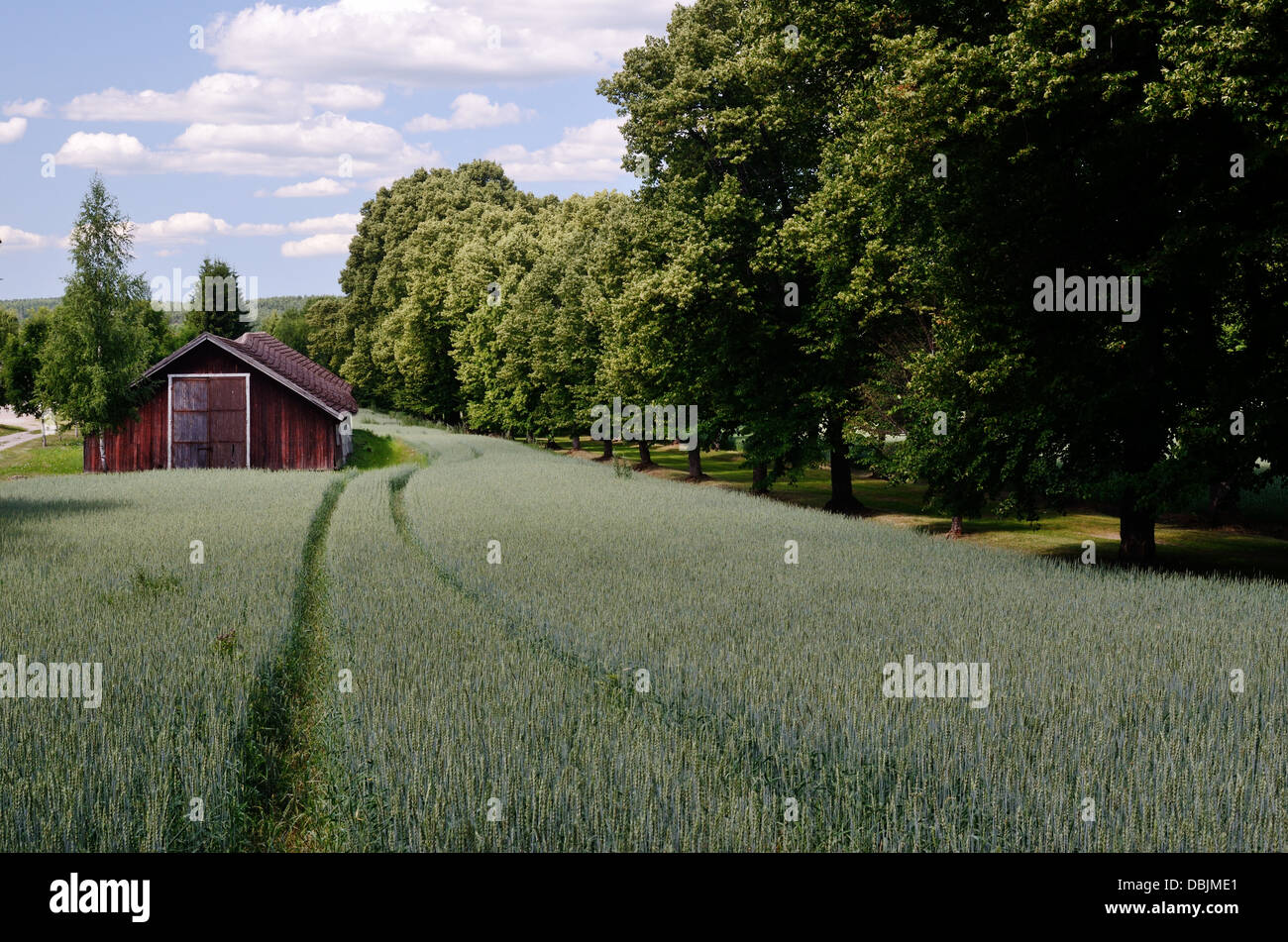 old barn is standing in the field, Finland Stock Photo