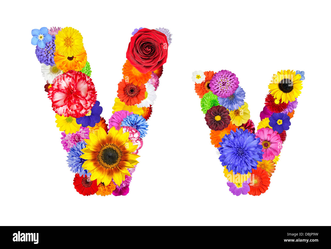 Floral Font Letter V High Resolution Stock Photography and Images Alamy