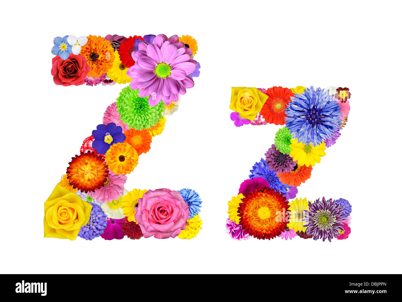Letter Z of Flower Alphabet Isolated on White. Letter consist of many colorful and original flowers Stock Photo