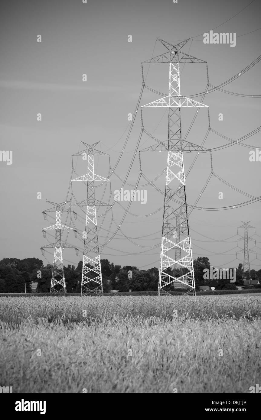 Pylon and transmission power line Stock Photo Alamy