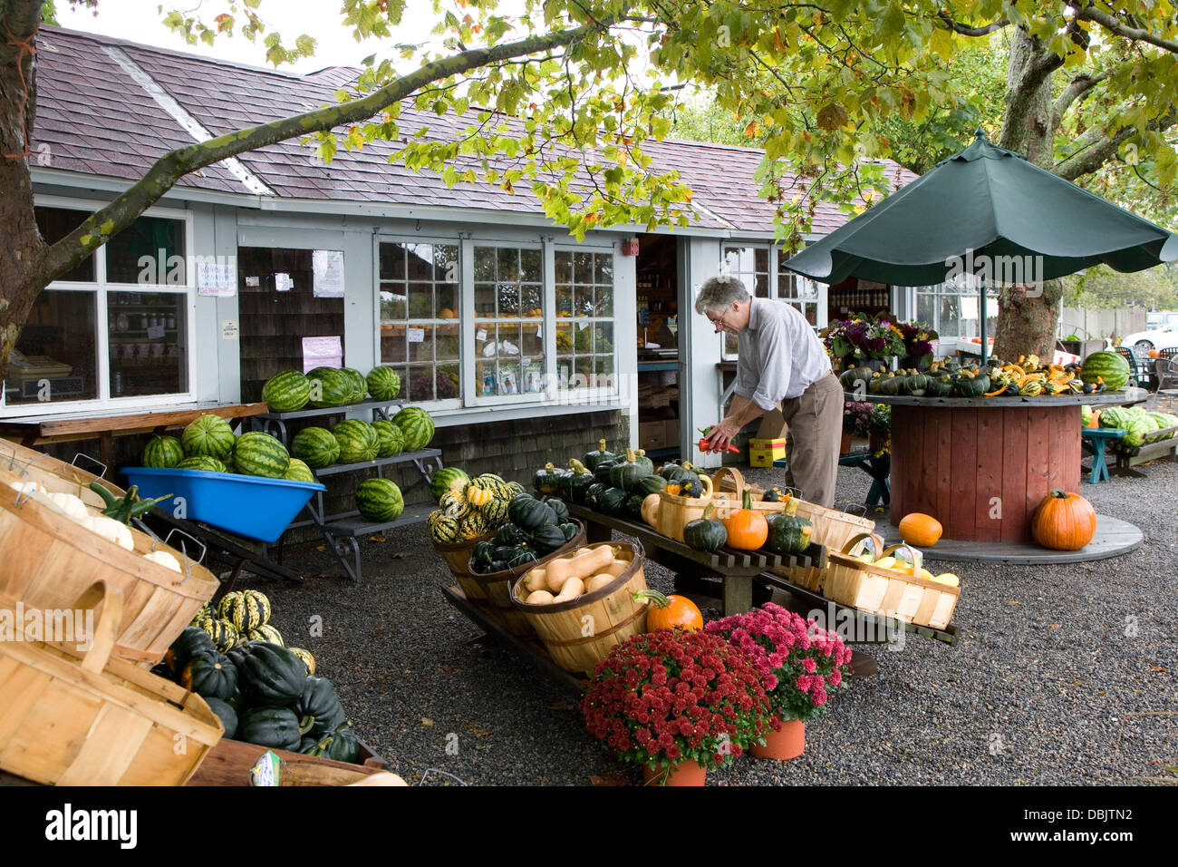 Rhode Island farmers' market Stock Photo Alamy