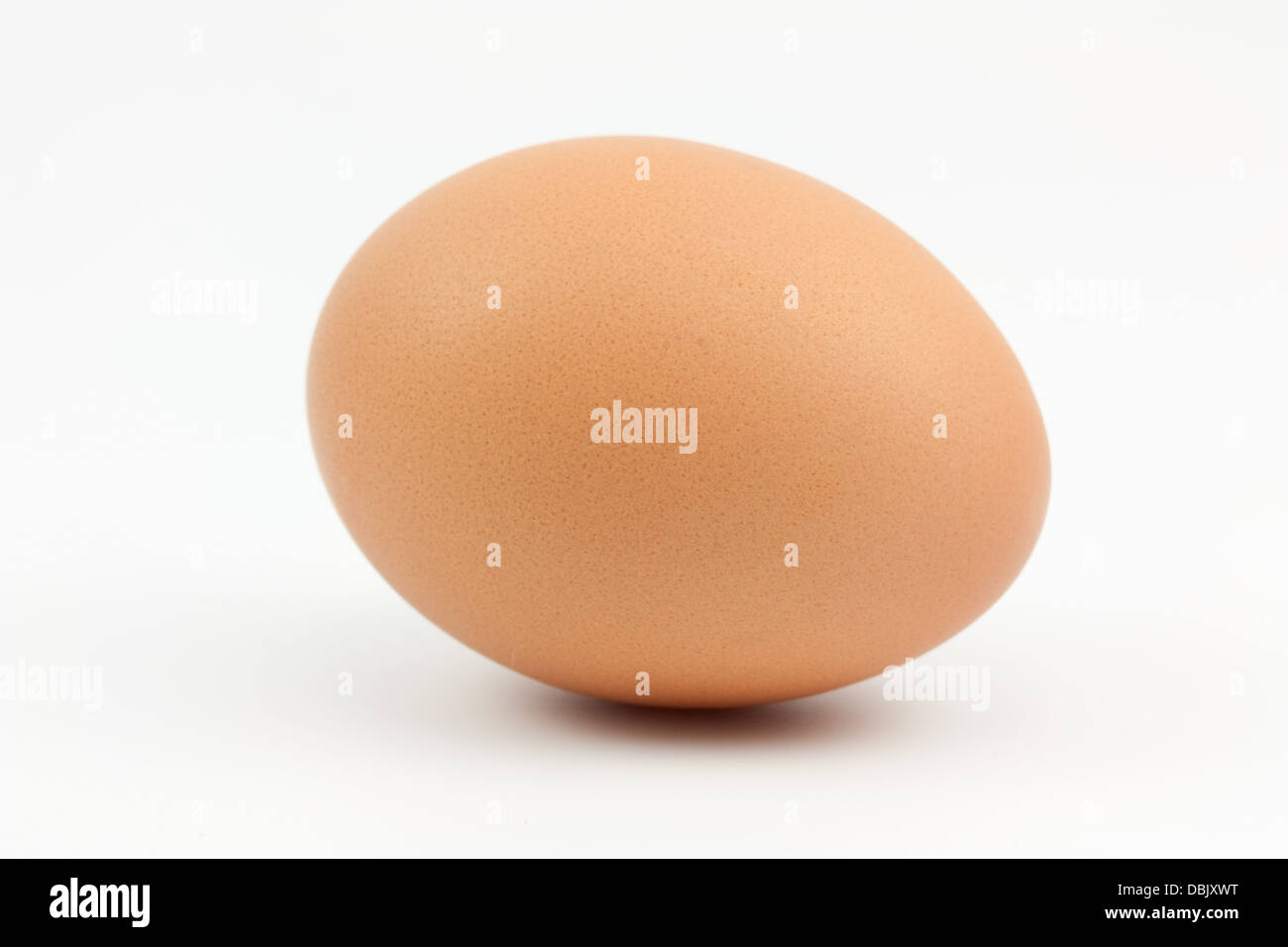 brown breakfast hen egg on white background Stock Photo
