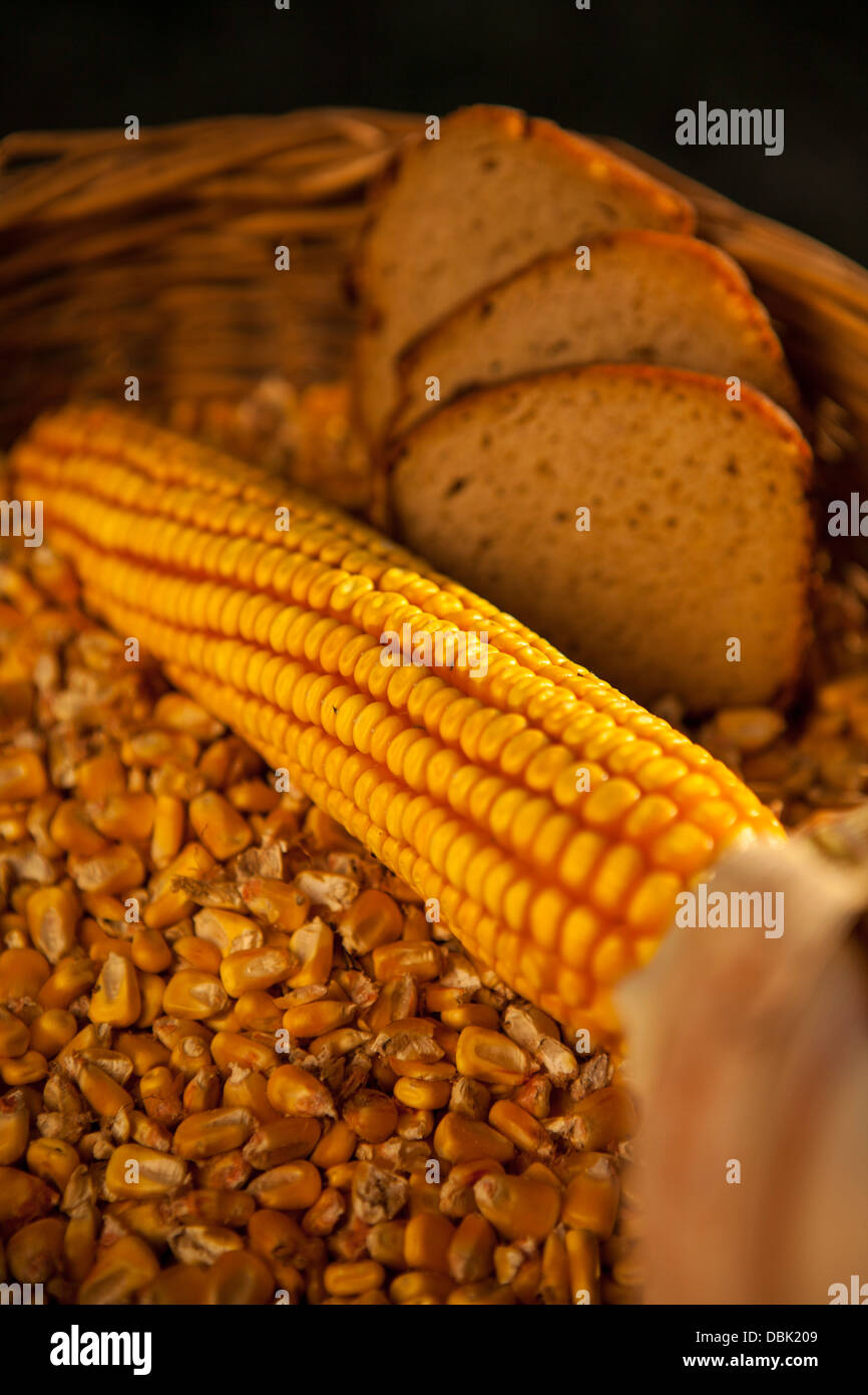 Corn Cob and Sliced Bread In A Basket, Croatia, Slavonia, Europe Stock Photo
