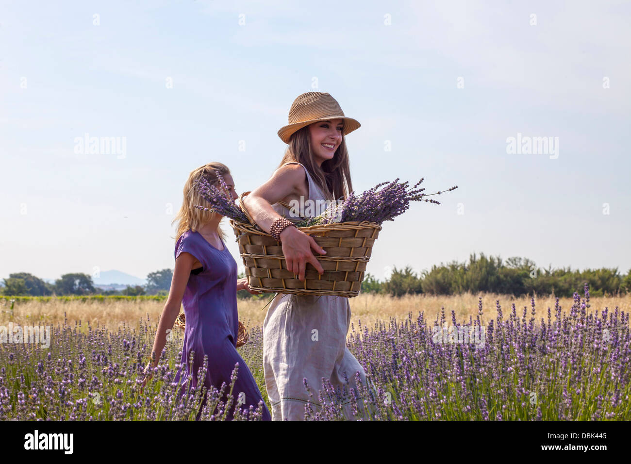 Young Women Walking Through Lavender Field, Croatia, Dalmatia, Europe Stock Photo