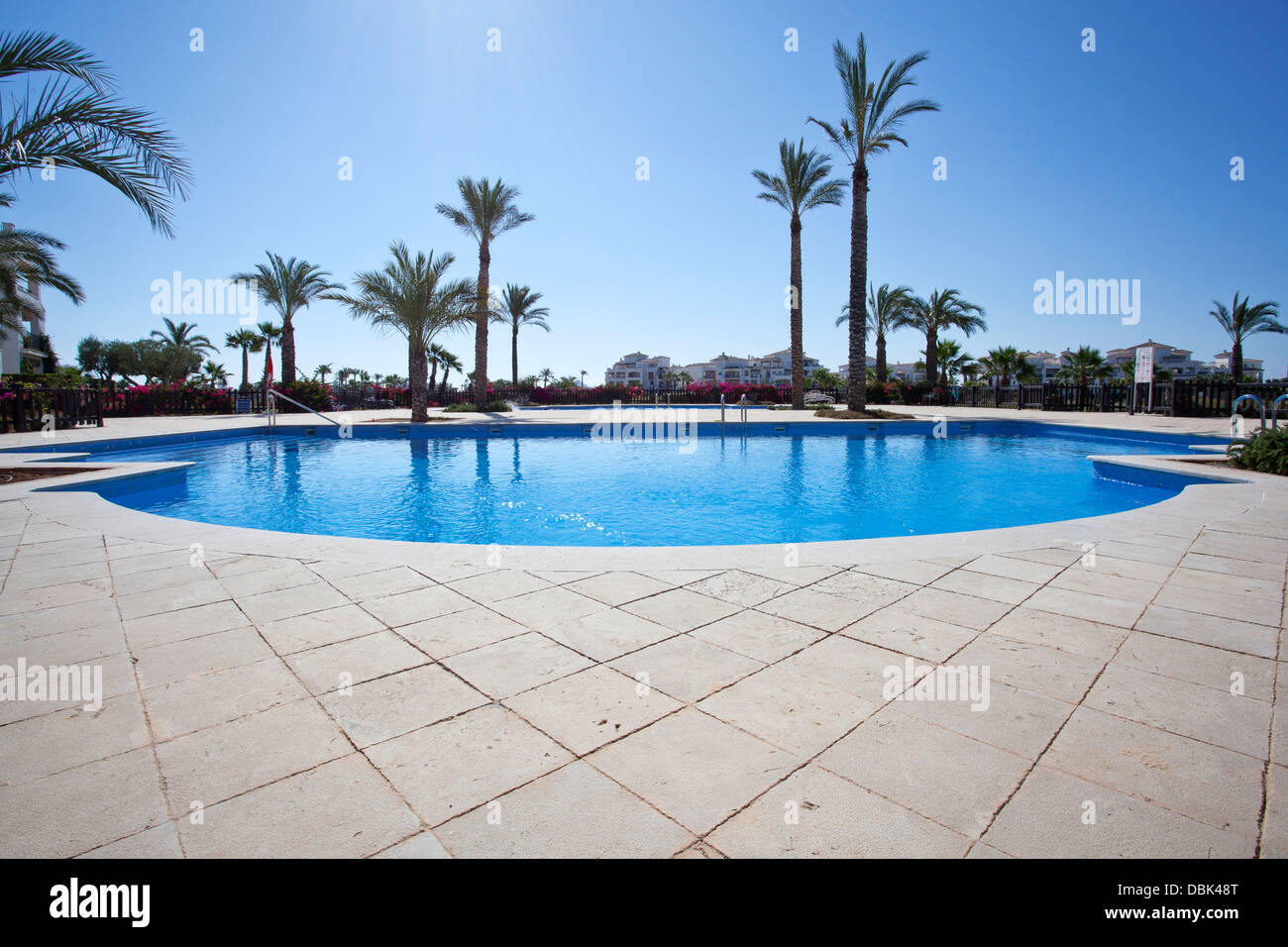 Swimming Pool With Big Blue Sky And Palm Trees Stock Photo Alamy
