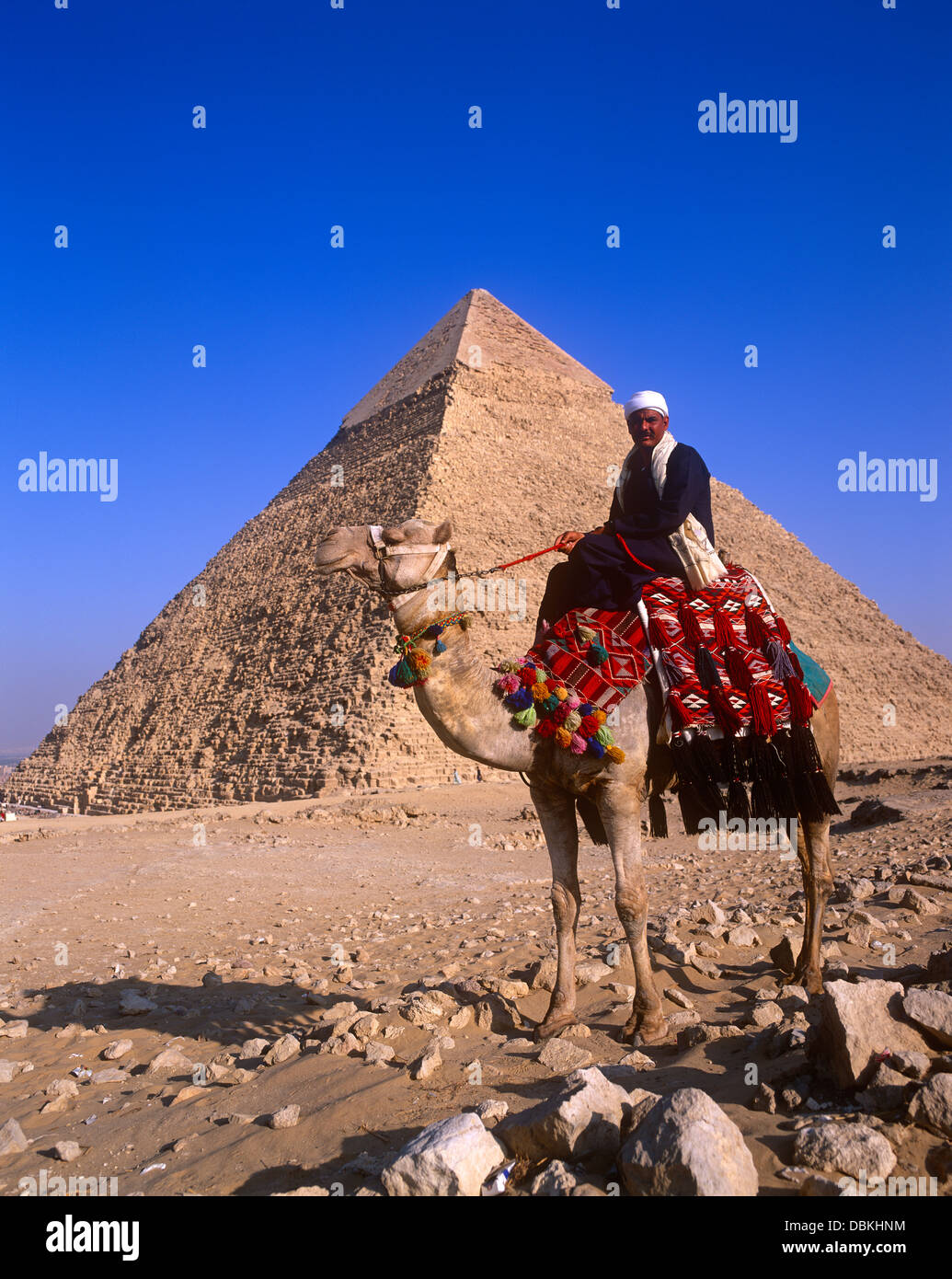 Cheops Pyramid and Camel and Rider, Giza, Cairo, Egypt Stock Photo - Alamy