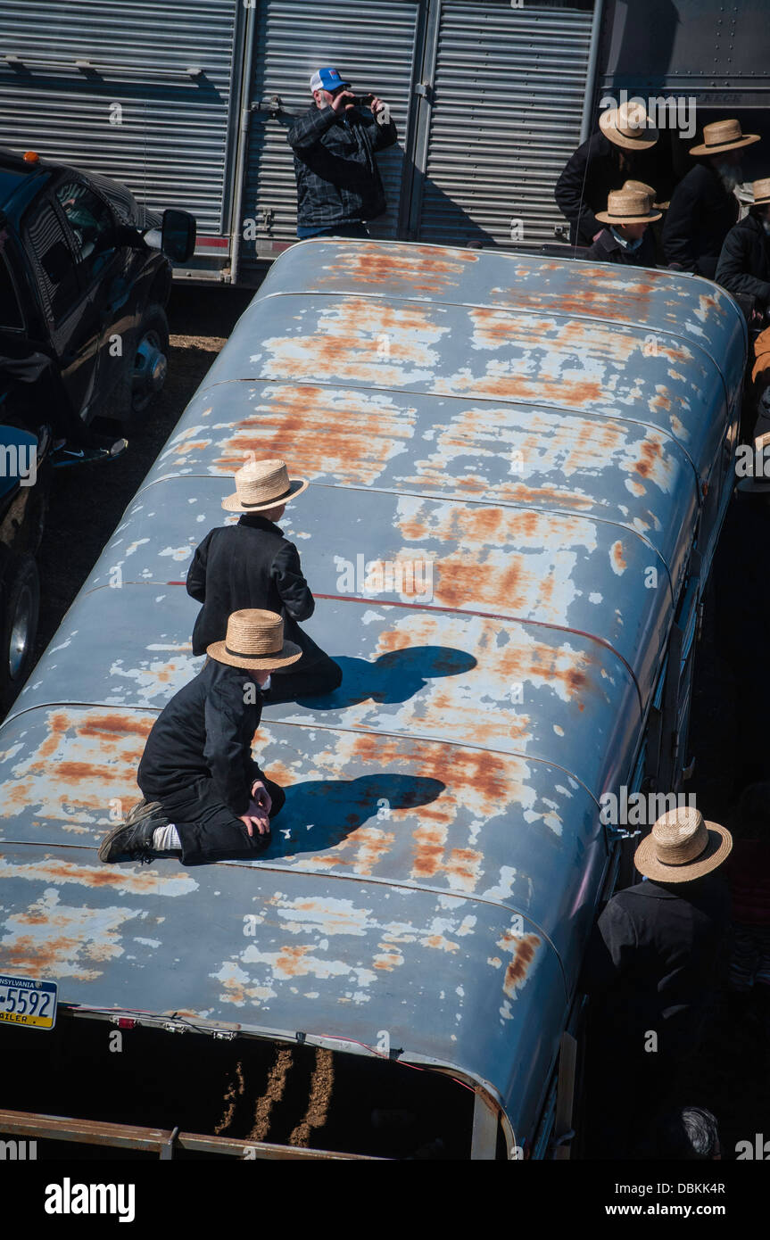 Lancaster, Pa. Amish Mud Sale auction. Spring time fundraising event
