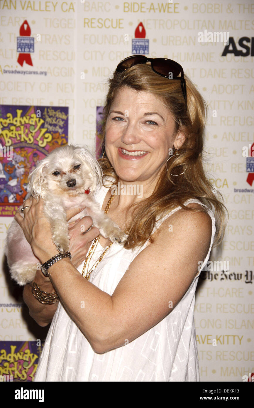 The 13th Annual Dog Stock Photos & The 13th Annual Dog