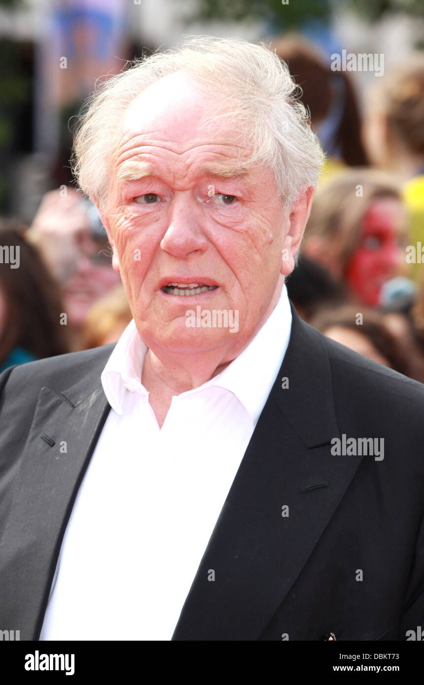Michael Gambon 'Harry Potter and The Deathly Hallows Part 2' World
