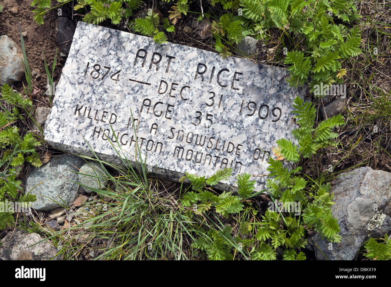 Recently placed gravestone on a formerly unmarked grave in the Hillside