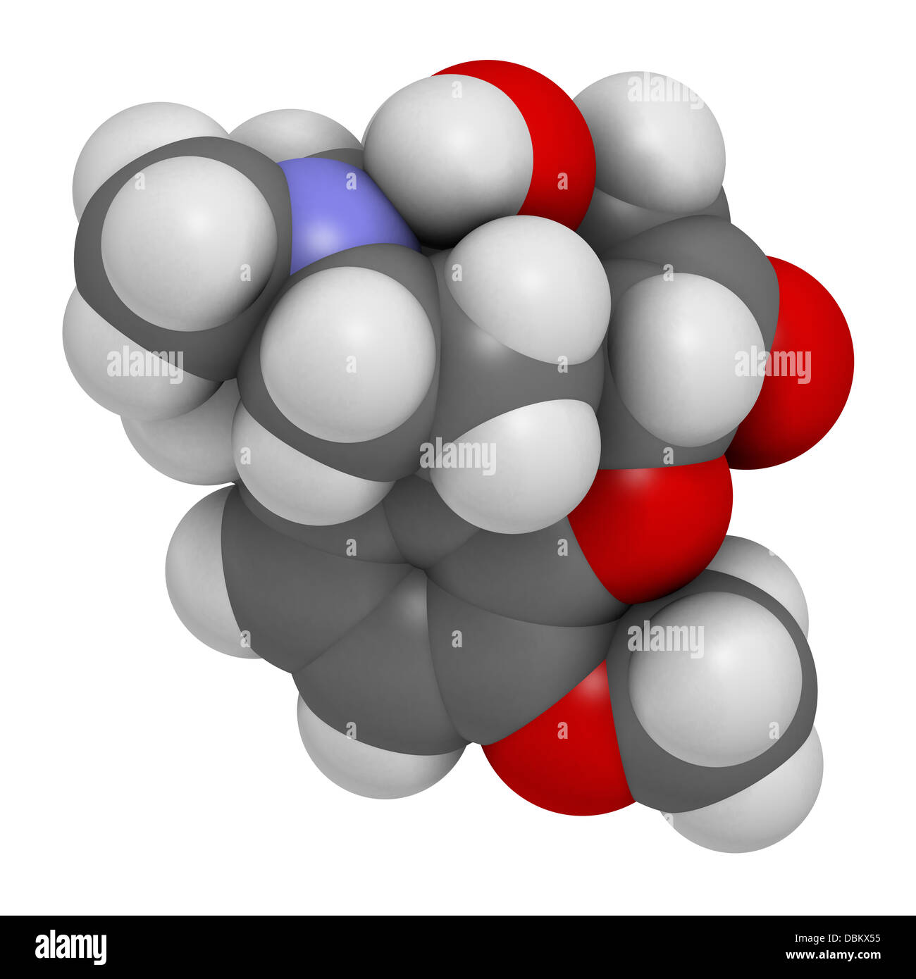 Oxycodone pain relief drug, chemical structure. Atoms are represented