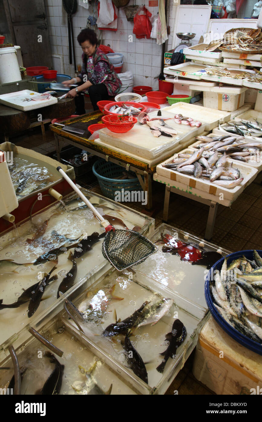 Seafood mussels and clams fish market stall Stock Photo Alamy