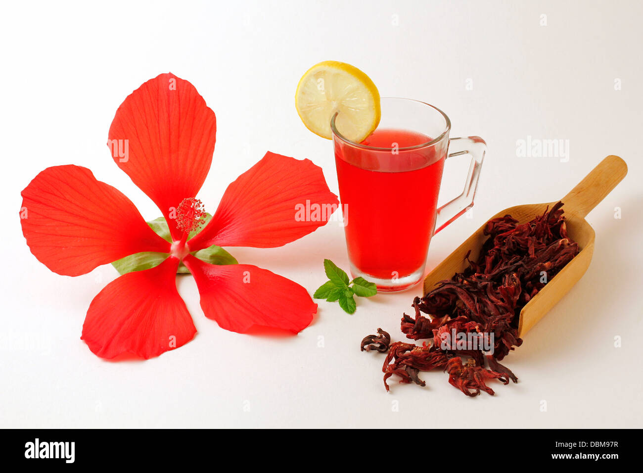Bissap Typical Drink Of Senegal Rozelle Medicinal Red Hibiscus Stock Photo Alamy