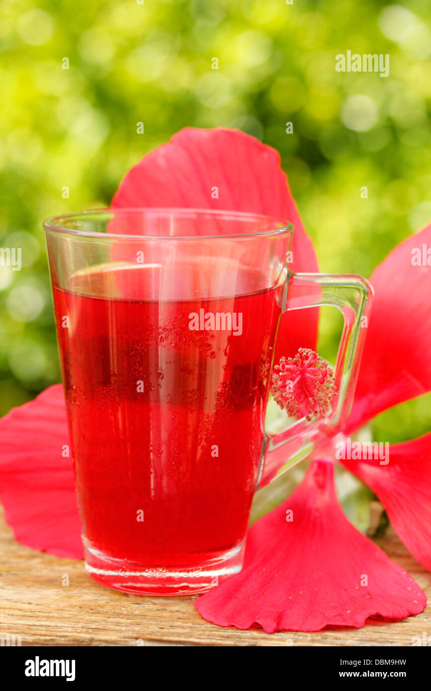 Bissap Typical Drink Of Senegal Rozelle Medicinal Red Hibiscus Stock Photo Alamy