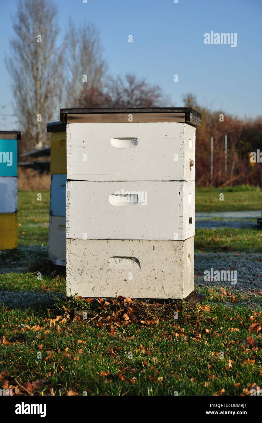 White Hive Stock Photos & White Hive Stock Images Alamy