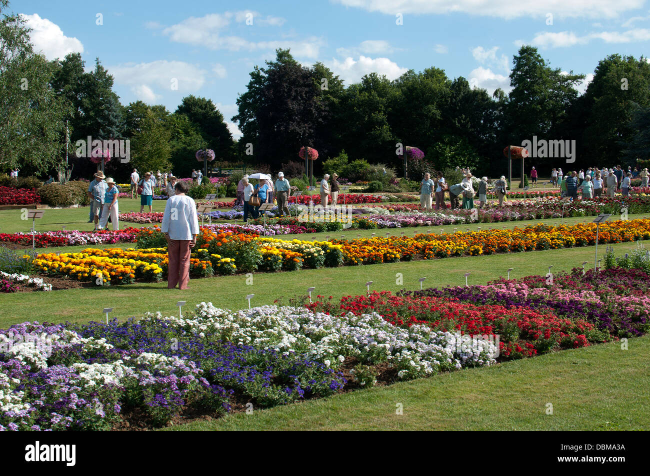 Ball colegrave hires stock photography and images Alamy
