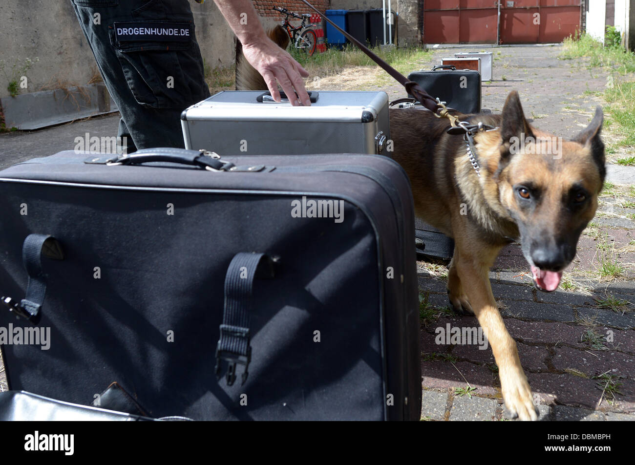 Dog trainer Reiner Reuther practices searching for drugs with his