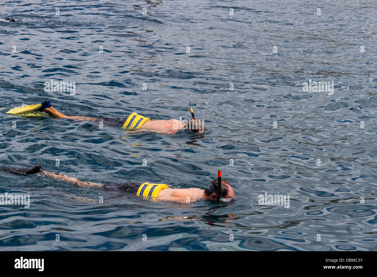 Snorkeling Tour High Resolution Stock Photography and Images - Alamy