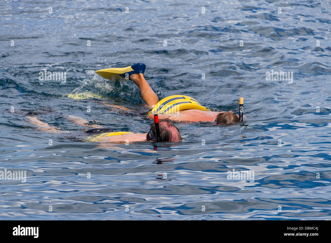 Snorkeling Tour High Resolution Stock Photography and Images - Alamy