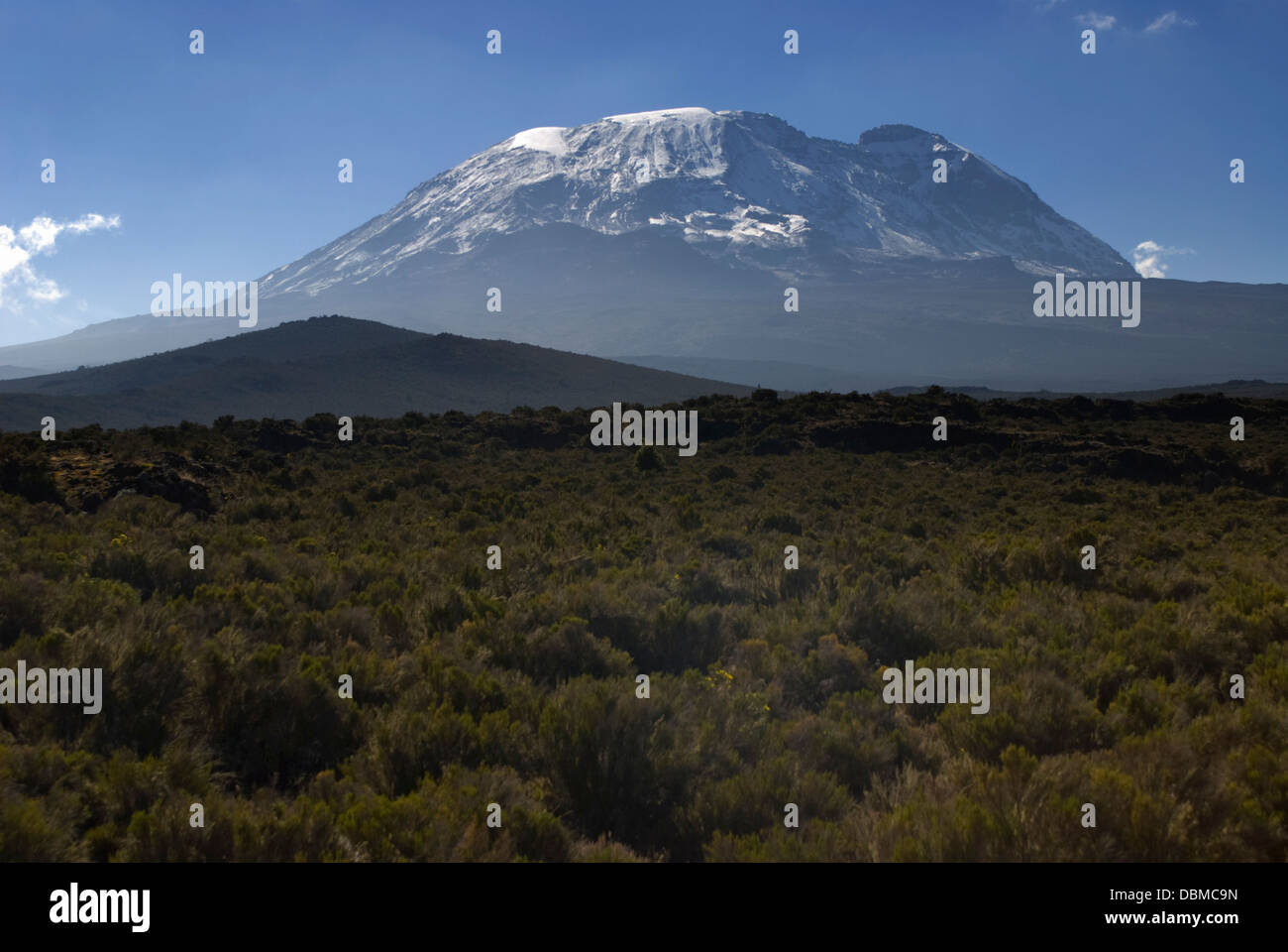 Mt Kilimanjaro, view of Kibo peak from Shira Plateau Stock Photo