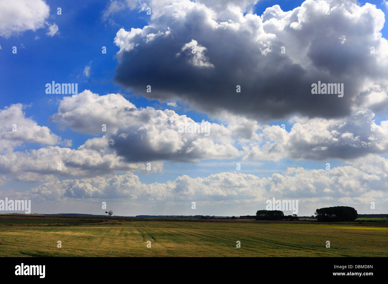 Farmland near Burnham Deepdale on the North Norfolk coast. Stock Photo