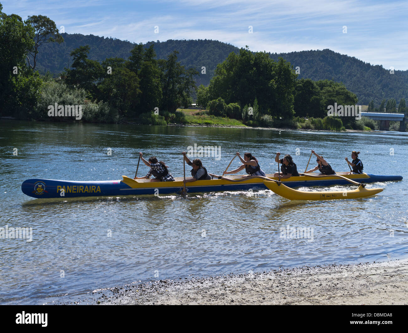 dh Waikato River NGARUAWAHIA NEW ZEALAND Maori girls paddling waka racing canoes people traditional canoe boat Stock Photo