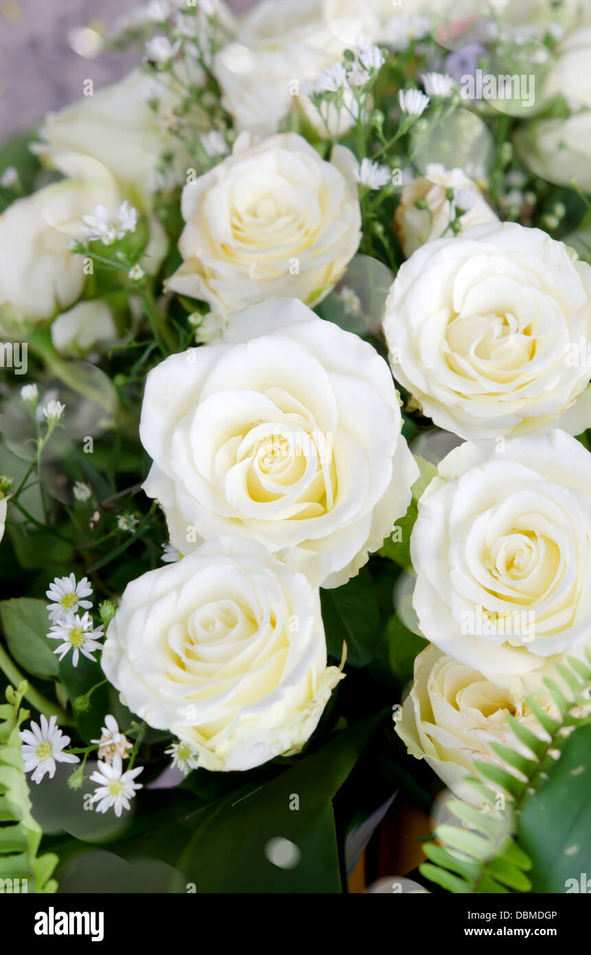flower bouquet , white rose and leaves full background Stock Photo