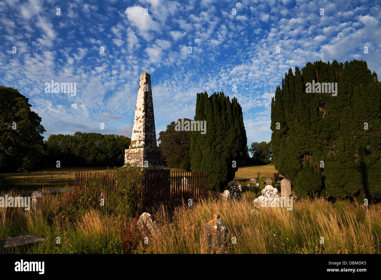 Burial monument, c.1800 and Yew Trees, Fiddown Church, Fiddown, County Kilkenny, Ireland Stock Photo