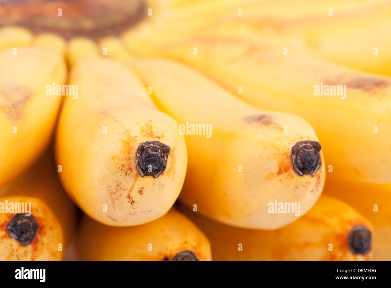 Banana macro hires stock photography and images Alamy