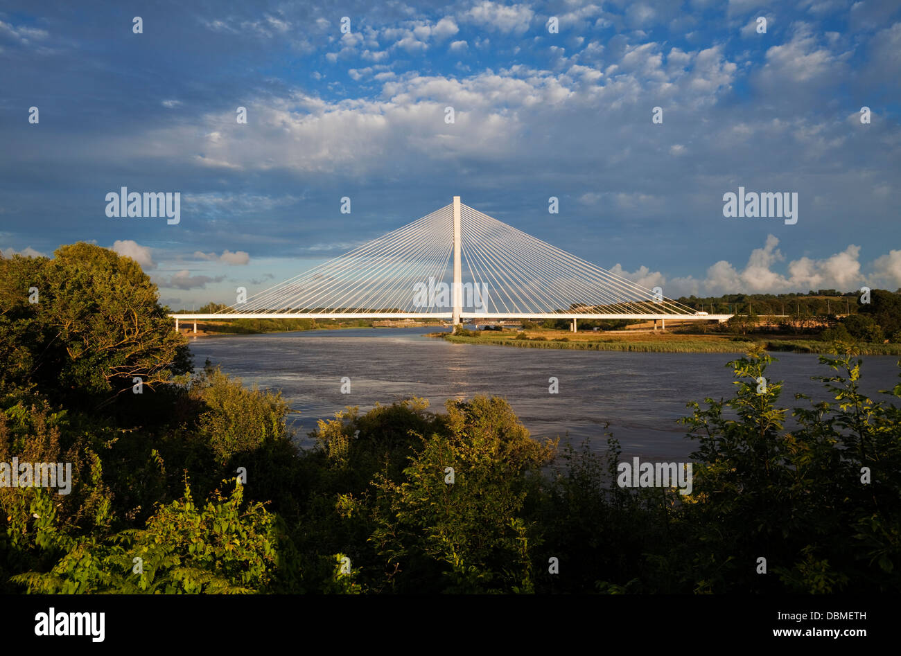 The River Suir and Bridge, a cable-stayed bridge built as an element of the N25 Waterford City Bypass, County Waterford, Ireland Stock Photo