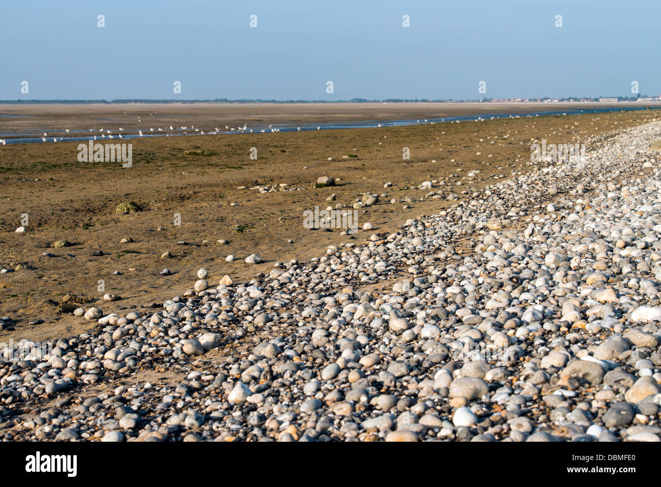 Somme bay beach low tide Picardie France Stock Photo