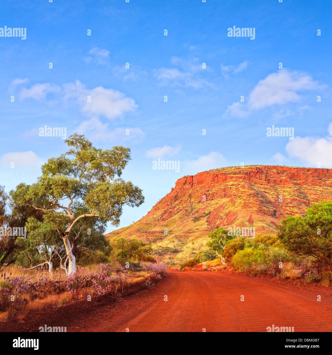 Outback Mount Nameless Western Australia Travel Landscape Square - Mount Nameless in outback Western Australia, Stock Photo